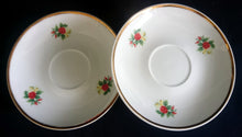 Lade das Bild in den Galerie-Viewer, 2er Set UNTERTASSEN - Porzellan, Goldrand Flora Rosenblüten Blumenstrauß Motiv Dekor
