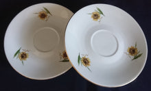 Lade das Bild in den Galerie-Viewer, 2er Set 2er KAFFEEGEDECKE - Porzellan, Goldrand Flora Sonnenblumen Blüten Natur Motiv Dekor
