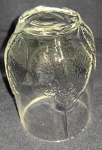Lade das Bild in den Galerie-Viewer, 2er Set GETRÄNKEGLÄSER - Hartglas, Flora Blatt Blätter Motiv Dekor
