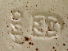 Lade das Bild in den Galerie-Viewer, KLEINE AMPHORE~ BLUMENVASE - Keramik / Steingut, Flora Rosenblumen Blüten Abstrakt Relief Motiv Dekor
