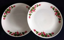 Lade das Bild in den Galerie-Viewer, 2er Set SPEISETELLER - Porzellan, Flora Blumenblüten Pflanzen Kleeblatt Blätter Motiv Dekor
