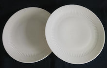 Lade das Bild in den Galerie-Viewer, 2er Set SPEISETELLER - Porzellan, Einfärbiges Linien Striche Relief Motiv Dekor
