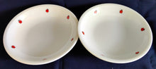 Lade das Bild in den Galerie-Viewer, 2er Set SALAT~ BEILAGENSCHALE "Käfer" - Porzellan, Fauna Käfer Insekten Motiv Dekor
