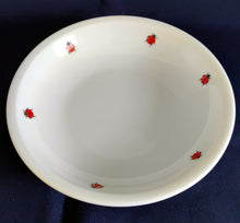 Lade das Bild in den Galerie-Viewer, 2er Set SALAT~ BEILAGENSCHALE "Käfer" - Porzellan, Fauna Käfer Insekten Motiv Dekor
