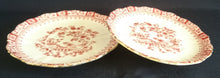 Lade das Bild in den Galerie-Viewer, 2er Set UNTERTASSEN "Theresia" - Porzellan, Asiatischer Garten Flora Blumen Pflanzen Abstrakt Motiv Goldrand Dekor
