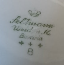 Lade das Bild in den Galerie-Viewer, 3er TEE~ SAMMELGEDECK - Porzellan, Goldrand Flora Pflanzen Blumenblüten Blatt Blätter Motiv Dekor (BC)
