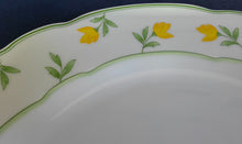Lade das Bild in den Galerie-Viewer, SPEISETELLER - Porzellan, Flora Blumen Rand Linien Motiv Dekor
