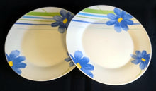 Lade das Bild in den Galerie-Viewer, SPEISETELLER - Porzellan, Flora Pflanzen Blumenblüten Striche Linien Motiv Dekor (BC)
