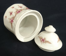 Lade das Bild in den Galerie-Viewer, 5er Set KAFFEEKANNE MIT DECKEL &amp; MILCHKÄNNCHEN &amp; ZUCKERDOSE + DECKEL - Porzellan, Streifen Linien Flora Blumenblüten Motiv Dekor
