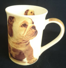 Lade das Bild in den Galerie-Viewer, 3er Set KAFFEETASSEN - Porzellan, Bulldogge Langhaardackel Labrador Hunde &amp; Katze Innen Motiv Dekor
