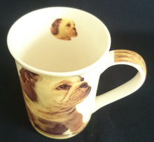 Lade das Bild in den Galerie-Viewer, 3er Set KAFFEETASSEN - Porzellan, Bulldogge Langhaardackel Labrador Hunde &amp; Katze Innen Motiv Dekor
