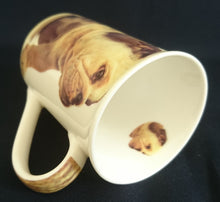 Lade das Bild in den Galerie-Viewer, 3er Set KAFFEETASSEN - Porzellan, Bulldogge Langhaardackel Labrador Hunde &amp; Katze Innen Motiv Dekor
