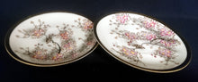 Lade das Bild in den Galerie-Viewer, 2er Set DESSERTTELLER - Porzellan, Asia Style, Blumenblüten Pflanzen Gold Abstrakt Dekorrand
