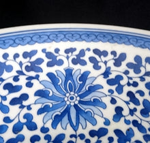 Lade das Bild in den Galerie-Viewer, RIESEN SCHALENTELLER - Porzellan, Blumen Blüten Pflanzen Ranken Flora Rand Motiv Dekor
