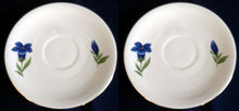 Lade das Bild in den Galerie-Viewer, 2er Set UNTERTASSEN - Porzellan, Enzian Blumenblüten Goldrand Dekor
