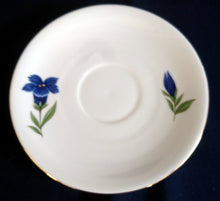 Lade das Bild in den Galerie-Viewer, 2er Set 2er TEEGEDECKE - Porzellan, Enzian Blumenblüten Goldrand Dekor
