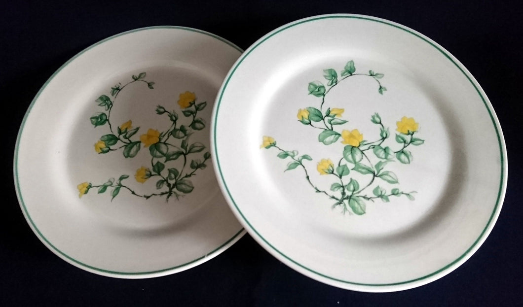 2er Set DESSERTTELLER - Keramik / Steingut, Blumenblüten Pflanzen Flora Randlinie Motiv Dekor