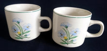 Lade das Bild in den Galerie-Viewer, 2er Set 2er KAFFEEGEDECKE - Keramik / Steingut, Blumenblüten Pflanzen Flora Randlinie Motiv Dekor
