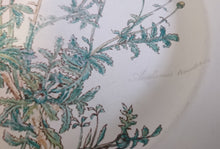 Lade das Bild in den Galerie-Viewer, 2er Set  SPEISETELLER "Botanica" - Porzellan, Goldrand / Anthemis lindoria Pflanzen mit Wurzel Dekor
