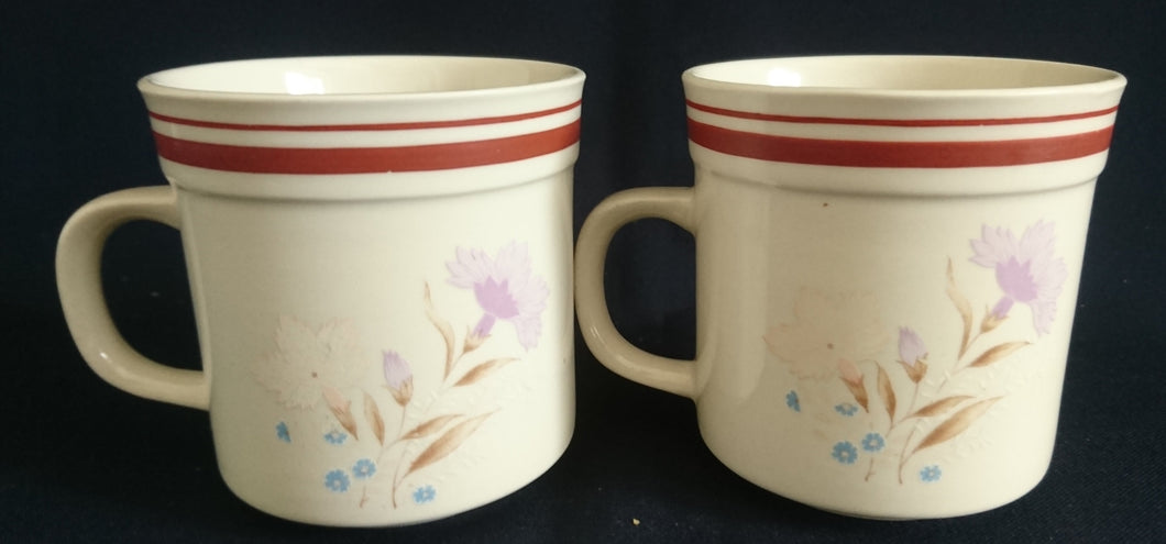 2er Set KAFFEETASSEN - Keramik / Steingut, Blumenblüten Pflanzen Flora Linien Rand Motiv Dekor